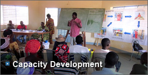 Capacity Development